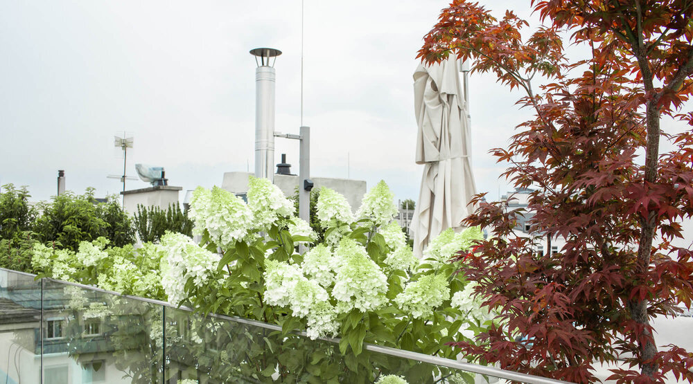 Moderne Terrasse