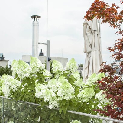 Moderne Terrasse