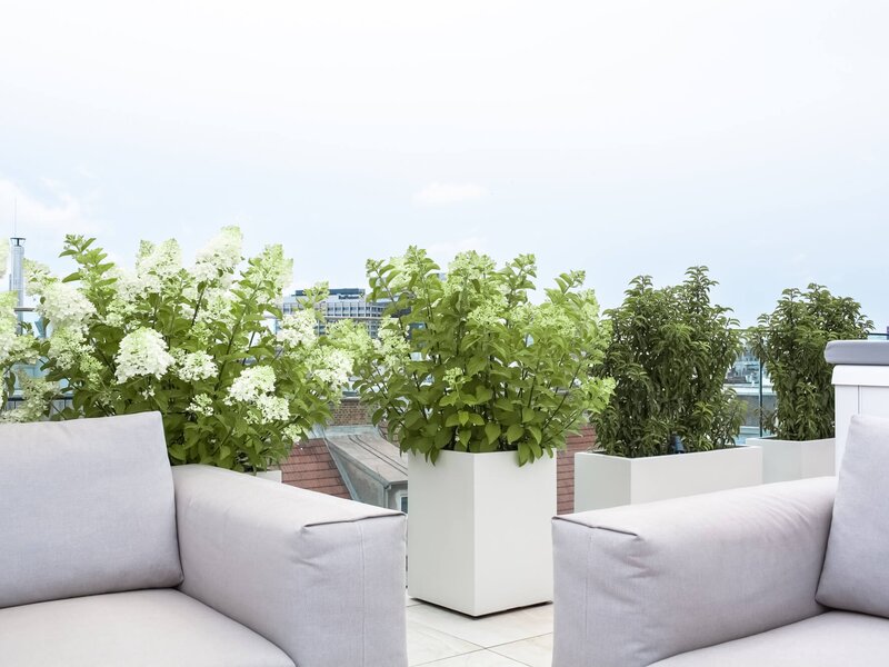 Moderne Terrasse