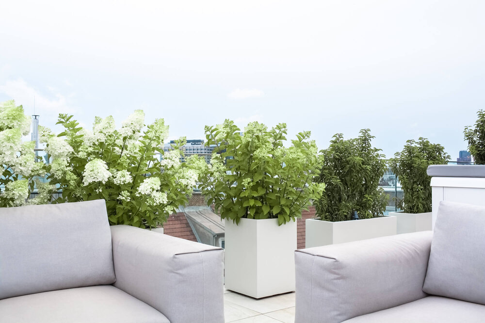 Moderne Terrasse