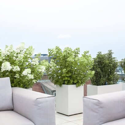Moderne Terrasse