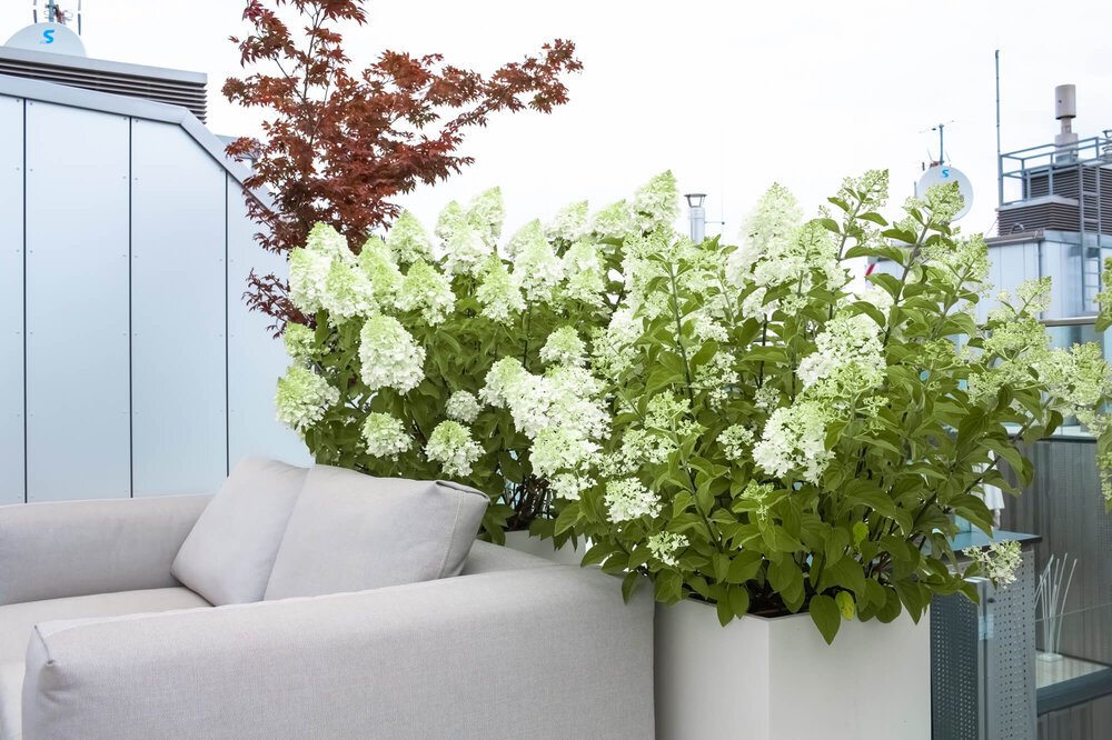 Moderne Terrasse