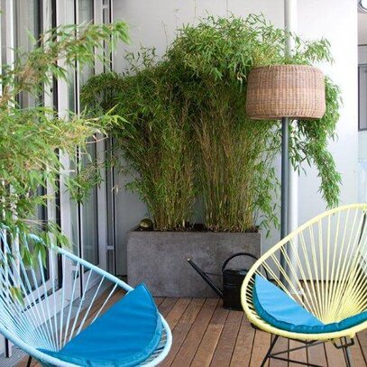 Pflegeleichter Balkon