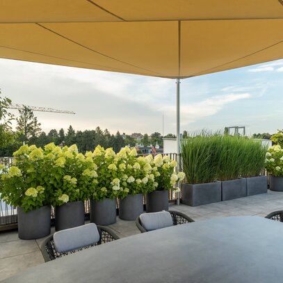 Schlichte Terrasse