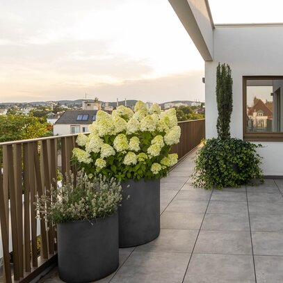 Schlichte Terrasse