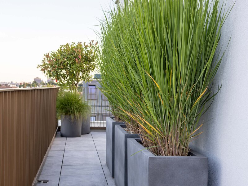 Schlichte Terrasse