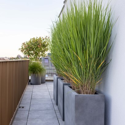 Schlichte Terrasse