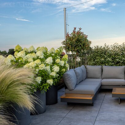 Schlichte Terrasse