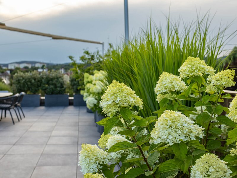 Schlichte Terrasse