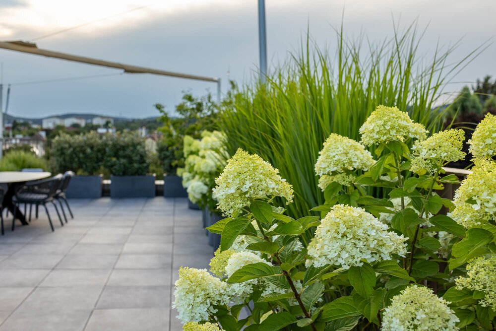 Schlichte Terrasse