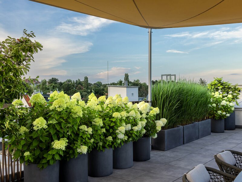 Schlichte Terrasse