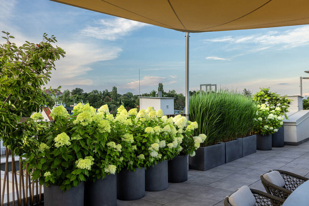 Schlichte Terrasse