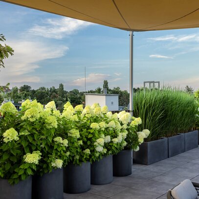 Schlichte Terrasse