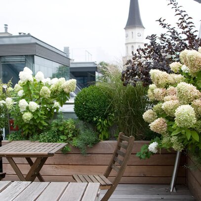 Sichtschutz-Terrasse