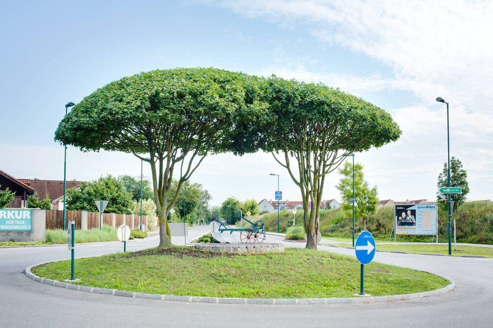 Straßenbegrünungen
