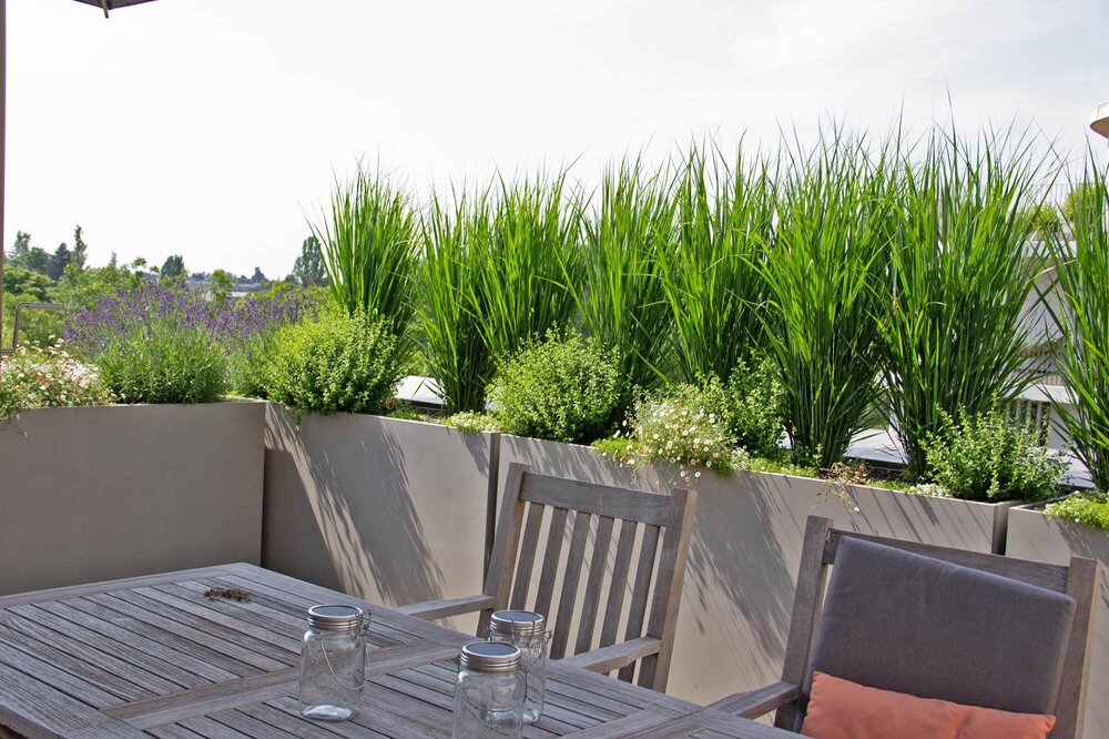 Terrassengarten