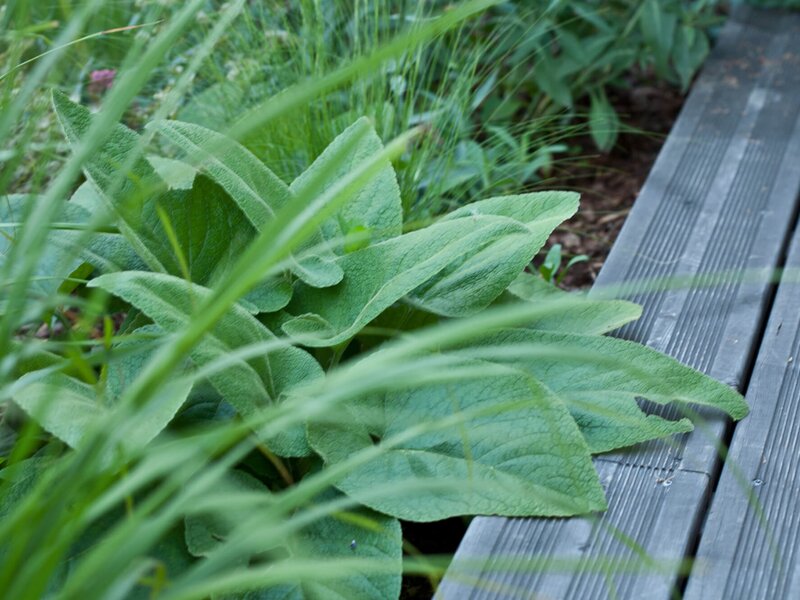 Tiefgaragenbegrünung