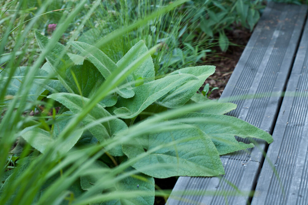 Tiefgaragenbegrünung