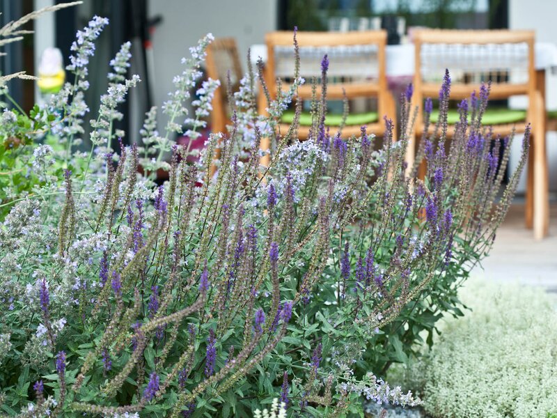 Tiefgaragenbegrünung