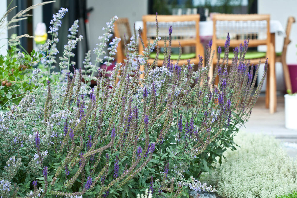 Tiefgaragenbegrünung