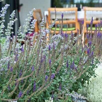 Tiefgaragenbegrünung