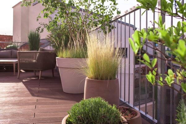 Drainage: Die richtige Bepflanzung im Topf für Balkon und Terrasse 