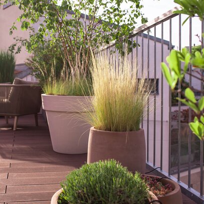 Urlaubs-Terrasse