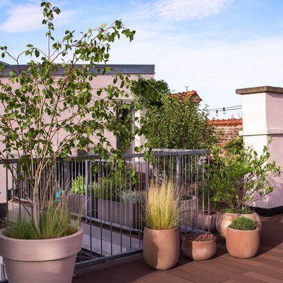 Urlaubs-Terrasse