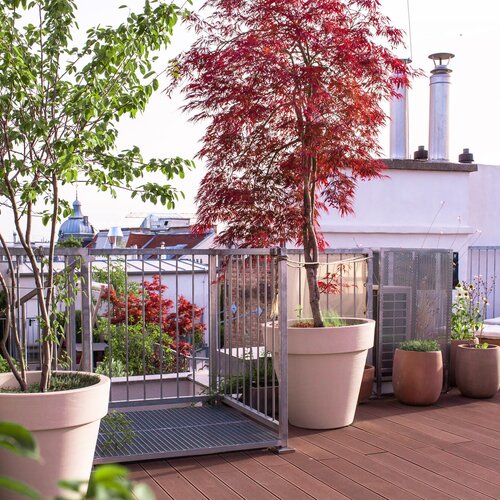 Urlaubs-Terrasse