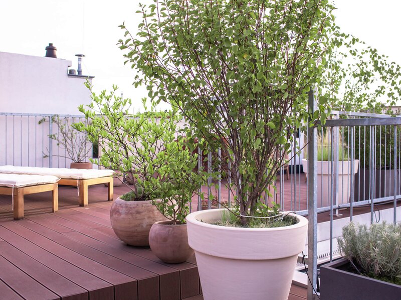 Urlaubs-Terrasse