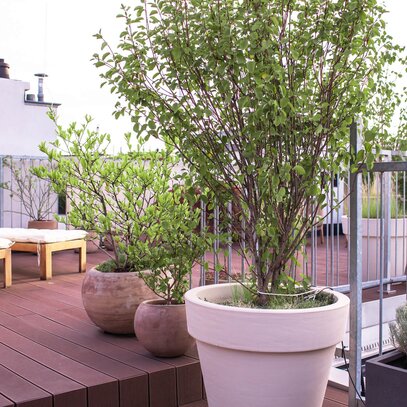 Urlaubs-Terrasse