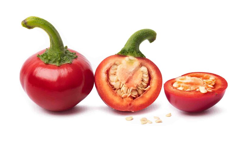 Capsicum frutescens 'Rondo'