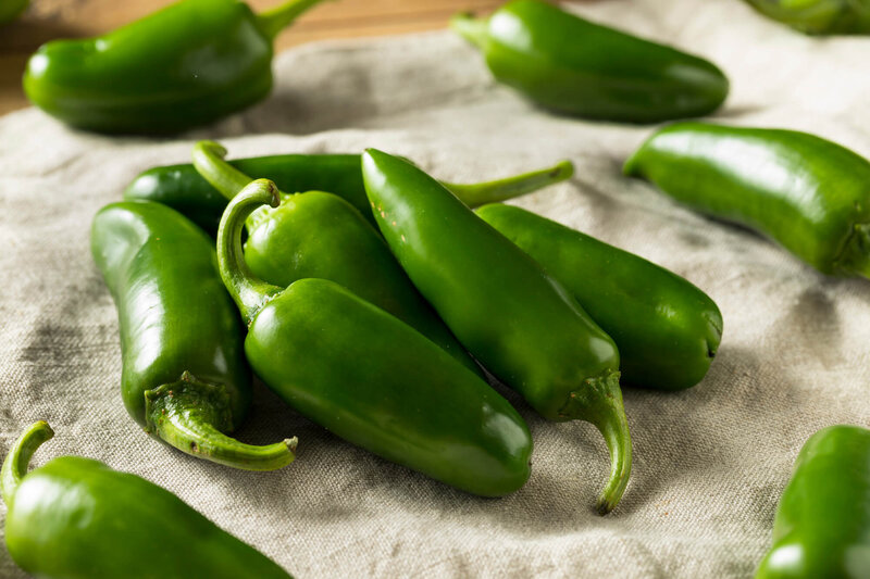 Capsicum frutescens 'Jalapeno'