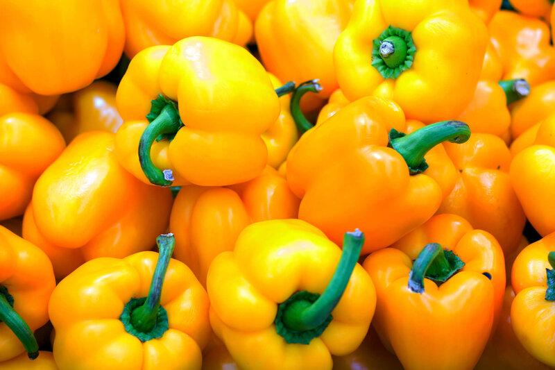 Capsicum annuum