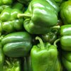 Capsicum annuum