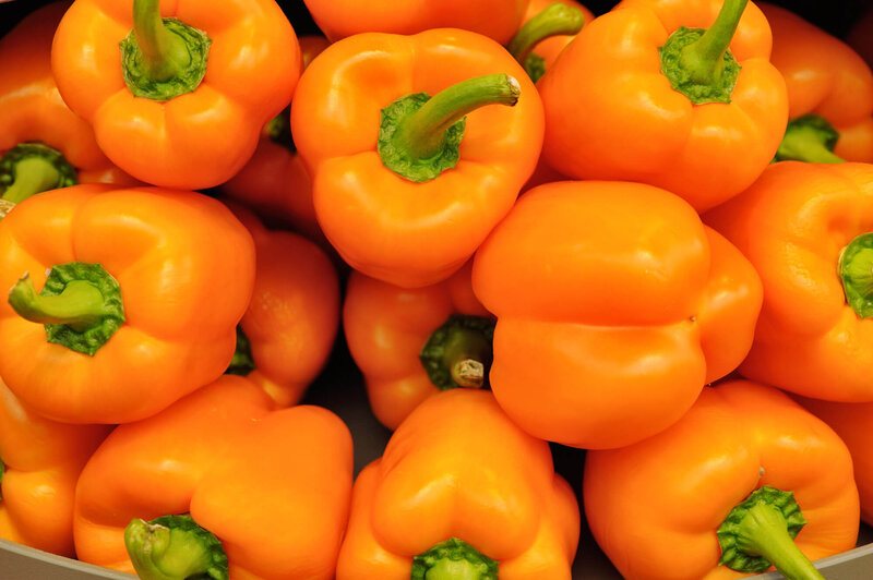 Capsicum annuum