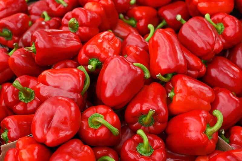 Capsicum annuum