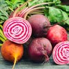 Beta vulgaris ssp. vulgaris 'Chioggia'