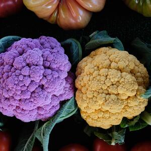 Brassica oleracea var.