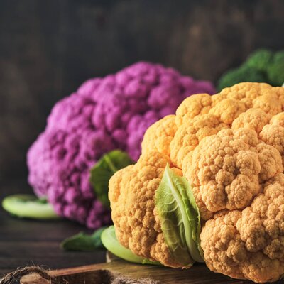 Brassica oleracea var.