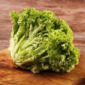 Lactuca sativa var. crispa