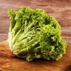 Lactuca sativa var. crispa