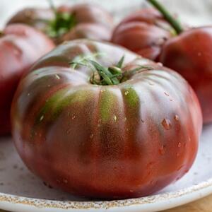 Solanum lycopersicum 'Black Krim'