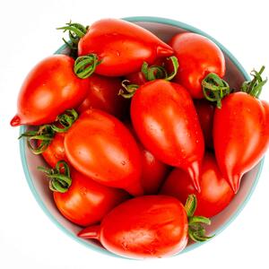 Solanum lycopersicum 'Pantelli'