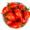 Solanum lycopersicum 'Pantelli'