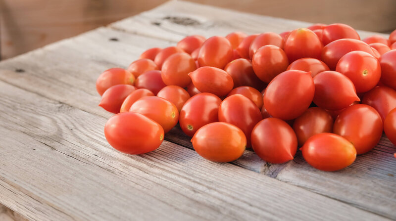 Solanum lycopersicum 'Pantelli'