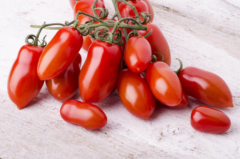 Solanum lycopersicum San Marzano