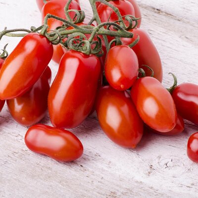 Solanum lycopersicum San Marzano