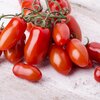 Solanum lycopersicum San Marzano