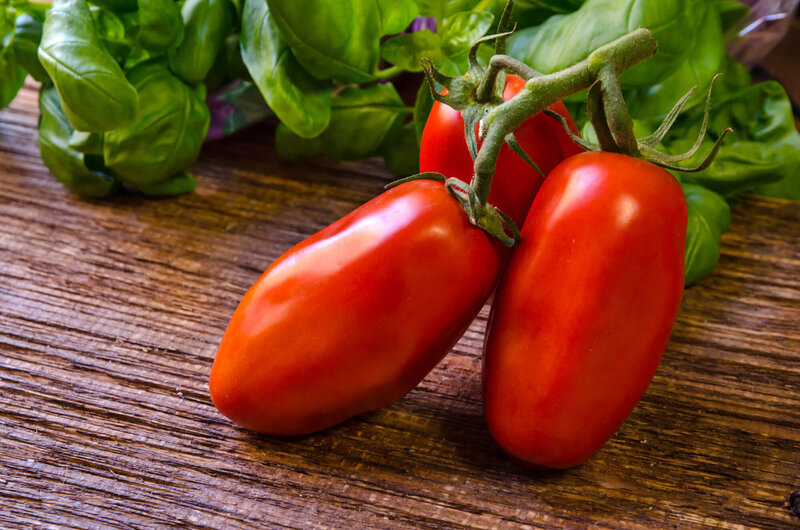 Solanum lycopersicum San Marzano